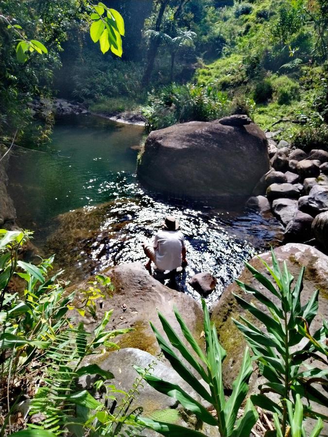 Hospedaje Bosque Del Rio Monteverde 外观 照片